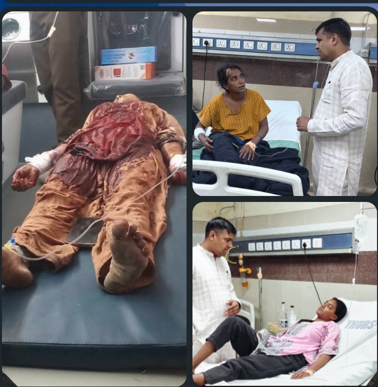 Screenshot_2026-04-02-19-57-47-436_com.whatsapp-edit